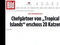 Bild zum Artikel: 28 Katzen geschossen! - Chefgärtner von „Tropical Islands“ empört Besucher