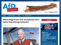 Bild zum Artikel: Moria-Migranten: Der Sozialstaat darf keine Erpressung zulassen!