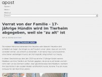 Bild zum Artikel: Verrat von der Familie - 17-jährige Hündin wird im Tierheim abgegeben, weil sie 'zu alt' ist