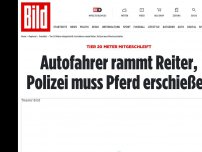 Bild zum Artikel: Pferd mit Gnadenschuss erlöst - Autofahrer rammt Reiter auf dunkler Straße