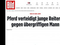 Bild zum Artikel: Biss in den Arm! - Pferd verteidigt junge Reiterin (16)