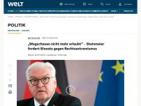 Bild zum Artikel: „Wegschauen nicht mehr erlaubt“ – Steinmeier fordert Einsatz gegen rechtsextreme Netzwerke