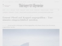 Bild zum Artikel: Erneut Pferd auf Koppel angegriffen – Tier musste eingeschläfert werden