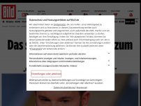Bild zum Artikel: Corona-Psychose? - Das sagt der Psychologe zum Wendler-Wahnsinn