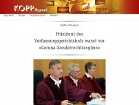 Bild zum Artikel: Präsident des Verfassungsgerichtshofs warnt vor »Corona-Sonderrechtsregime«