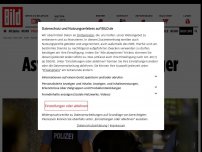 Bild zum Artikel: Fast 15 Prozent bei Mord und Totschlag - Asylzuwanderer häufiger tatverdächtig