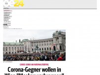 Bild zum Artikel: Corona-Gegner wollen 'sinnlose' Masken verbrennen