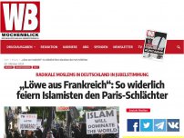 Bild zum Artikel: „Löwe aus Frankreich“: So widerlich feiern Islamisten den Paris-Schlächter