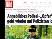 Bild zum Artikel: 11 Streifenwagen im Einsatz - Polizei-„Opfer“ geht auf  Polizisten los