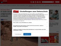 Bild zum Artikel: Mysteriöses Objekt - In Utah verschwunden, in Rumänien aufgetaucht: Noch ein Metall-Monolith entdeckt