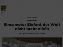 Bild zum Artikel: Einsamster Elefant der Welt nicht mehr allein