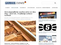 Bild zum Artikel: Drei Jugendliche werfen sich vor den Zug – zwei tot, 14-Jährige schwer verletzt