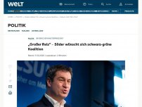 Bild zum Artikel: „Großer Reiz“ – Söder wünscht sich schwarz-grüne Koalition