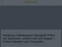 Bild zum Artikel: Hamburg: Unbekannter übergießt Pferd mit Salzsäure, schlich sich auf Koppel – Polizei fahndet nach Tierquäler