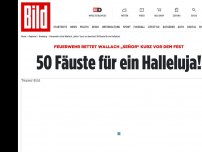 Bild zum Artikel: Wallach „Señor“ gerettet - 50 Fäuste für ein Halleluja!