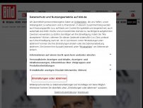 Bild zum Artikel: „TOTALE FEHLENTWICKLUNG“ - Bundesliga-Boss geht auf Bierhoff los