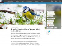 Bild zum Artikel: Traurige Zwischenbilanz: Weniger Vögel in den Gärten gezählt