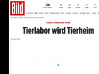 Bild zum Artikel: Keine Versuche mehr - Tierlabor wird Tierheim