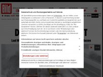 Bild zum Artikel: Schneesturm! Eisregen! - DER FIESE RIESE KOMMT