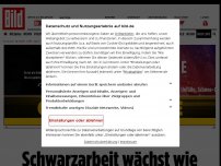 Bild zum Artikel: Wegen Lockdown - Schwarzarbeit wächst wie seit 20 Jahren nicht mehr