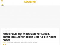 Bild zum Artikel: Möbelhaus legt Matratzen vor Laden, damit Straßenhunde ein Bett für die Nacht haben