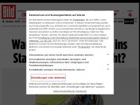 Bild zum Artikel: SPD-Delegierte - Warum dürfen Politiker ins Stadion aber keine Fans?