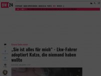 Bild zum Artikel: „Sie ist alles für mich“ - Lkw-Fahrer adoptiert Katze, die niemand haben wollte