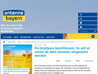 Bild zum Artikel: EU-Impfpass beschlossen: So soll er schon ab dem Sommer eingesetzt werden