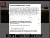 Bild zum Artikel: Impfheld Ugur Sahin in BILD - Geimpfte sind NICHT mehr ansteckend!