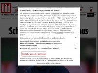 Bild zum Artikel: Trainer, Sportchef, Teammanager - Schalke schmeißt alle raus