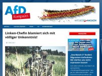 Bild zum Artikel: Linken Chefin blamiert sich mit völliger Unkenntnis!