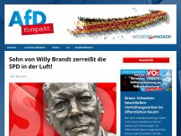 Bild zum Artikel: Sohn von Willy Brandt zerreißt die SPD in der Luft!