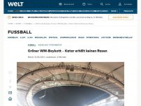 Bild zum Artikel: Grüner WM-Boykott – Katar erhält keinen Rasen