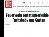 Bild zum Artikel: Es kauerte unter Spielzeug - Feuerwehr rettet unterkühltes Fuchsbaby aus Garten