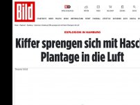 Bild zum Artikel: Explosionin Hamburg - Kiffer sprengen sich mit Hanf-Plantage in die Luft