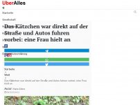 Bild zum Artikel: Das Kätzchen war direkt auf der Straße und Autos fuhren vorbei: eine Frau hielt an