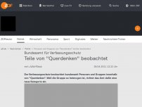 Bild zum Artikel: Verfassungsschutz beobachtet Teile von 'Querdenken'