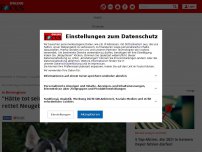 Bild zum Artikel: In Birmingham: 'Hätte tot sein können': Husky-Hündin rettet...