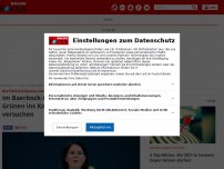 Bild zum Artikel: FOCUS-Kolumne von Jan Fleischhauer: Im Baerbock-Bann: Wie...