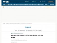 Bild zum Artikel: So schädlich sind Hunde für die Umwelt und das Klima