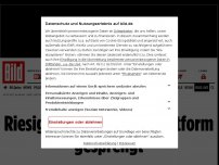 Bild zum Artikel: Vier Deutsche festgenommen - Riesige Kinderporno-Plattform gesprengt