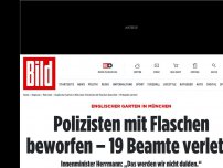 Bild zum Artikel: Englischer Garten in München - Polizisten mit Flaschen beworfen