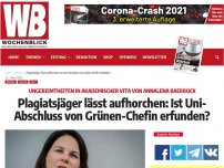 Bild zum Artikel: Plagiatsjäger lässt aufhorchen: Ist Uni-Abschluss von Grünen-Chefin erfunden?