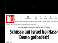 Bild zum Artikel: Hunderte bei Pro-Islamisten-Protest in Berlin - Schüsse auf Israel bei Hass-Demo gefordert!