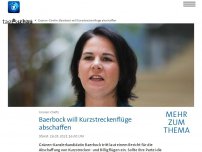 Bild zum Artikel: Grünen-Chefin: Baerbock will Kurzstreckenflüge abschaffen