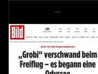 Bild zum Artikel: Nach vierwöchiger Odyssee - Riesenseeadler „Grobi“ endlich wieder zu Hause!