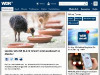 Bild zum Artikel: Spender kauft 33.333 Eintrittskarten für Kinder für einen Besuch im Allwetterzoo Münster schenkt Kindern