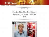 Bild zum Artikel: BKA-Lagebild: Über 1,5 Millionen Straftaten durch Flüchtlinge seit 2015