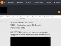 Bild zum Artikel: WHO: Sechs bis acht Millionen Pandemie-Tote