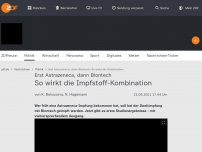 Bild zum Artikel: So wirkt die Impfstoff-Kombination